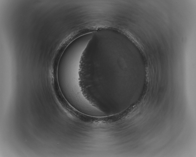 X0000113060634200909041038