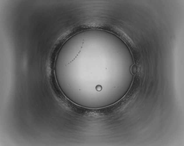 X0000113060635200909041038
