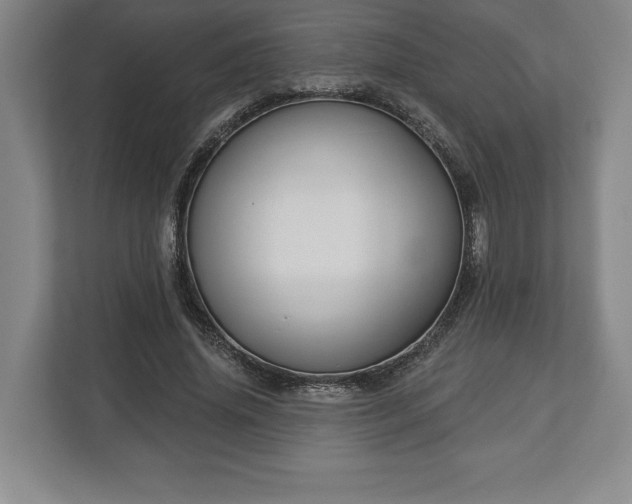 X0000113060636200909041038
