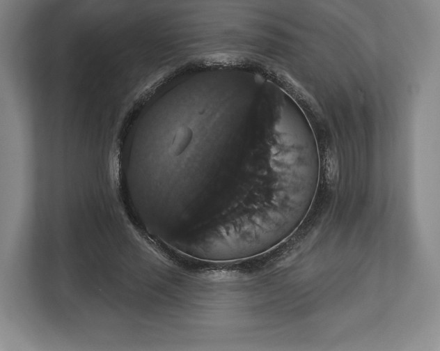 X0000113060637200909041038