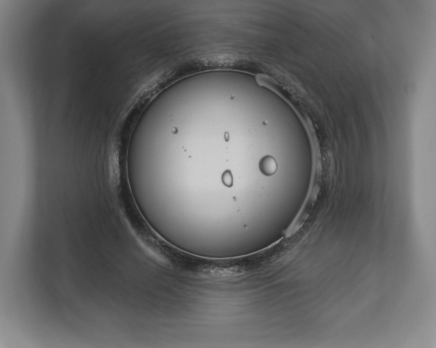 X0000113060638200909041038