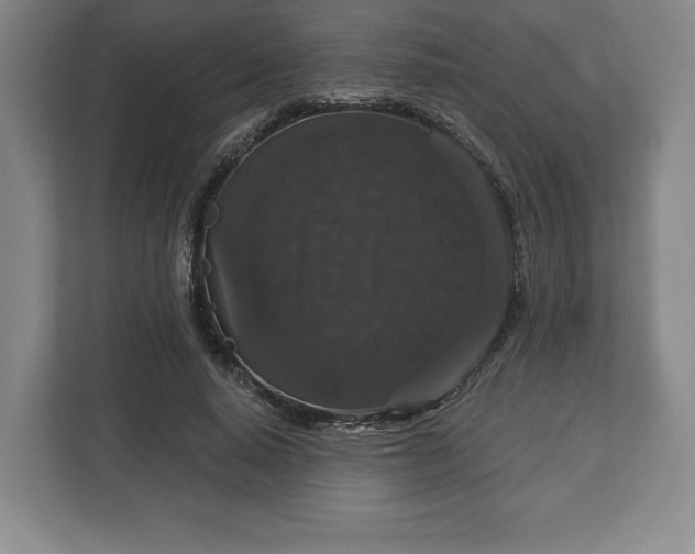 X0000113060640200909041038