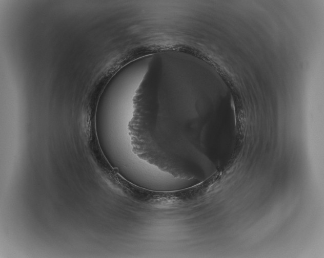 X0000113060642200909041038
