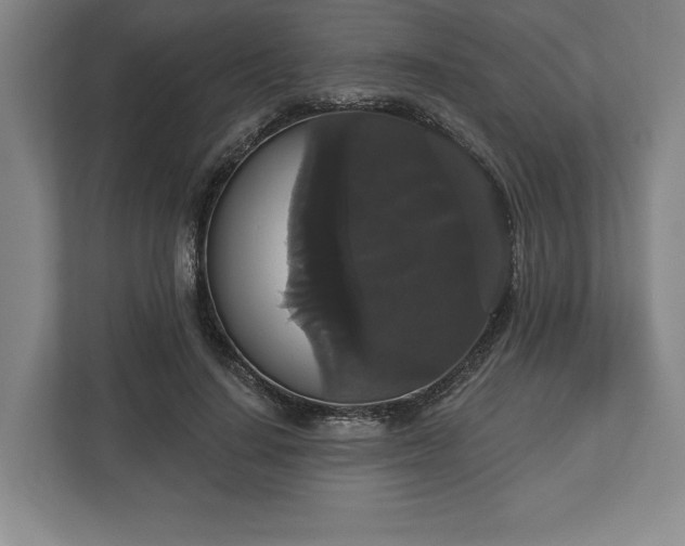 X0000113060644200909041039