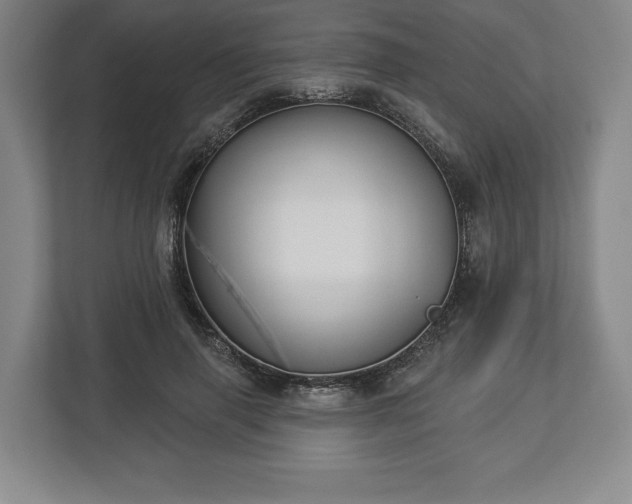 X0000113060645200909041039
