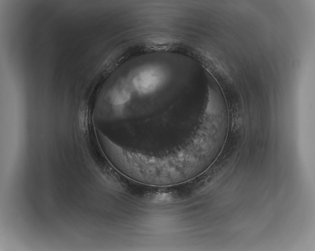 X0000113060647200909041039