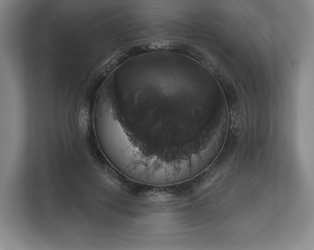 X0000113060648200909041039