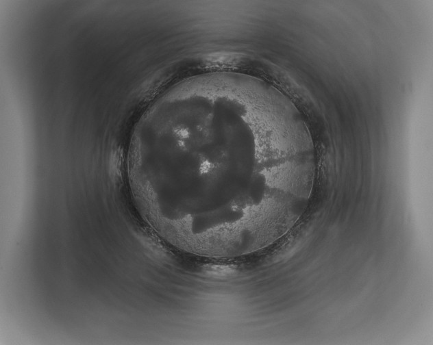 X0000113060649200909041039