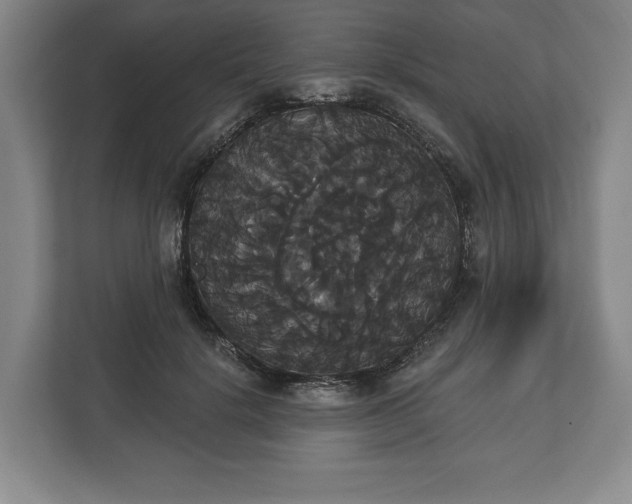 X0000113060652200909041039