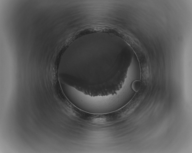X0000113060653200909041039