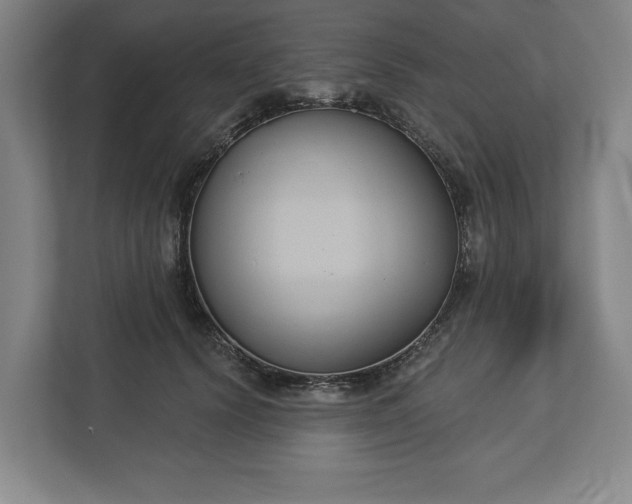 X0000113060656200909041039