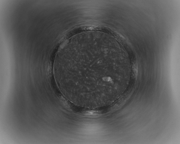 X0000113060657200909041039