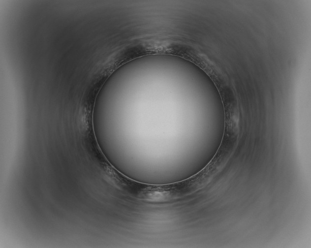 X0000113060658200909041039