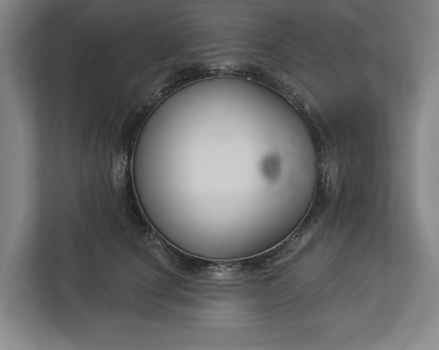 X0000113060660200909041039