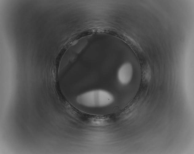 X0000113060661200909041039