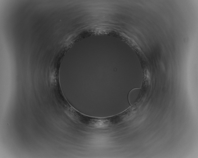 X0000113060663200909041039