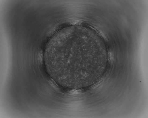 X0000113060664200909041039