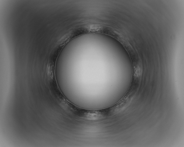 X0000113060666200909041039
