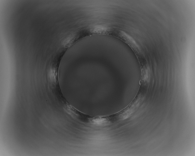 X0000113060669200909041039