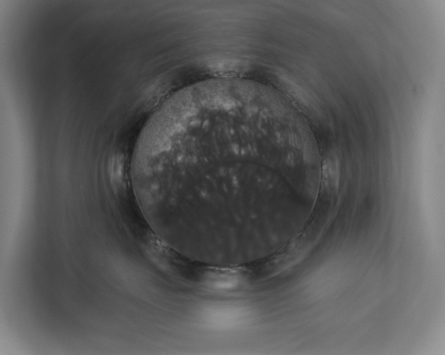 X0000113060671200909041039
