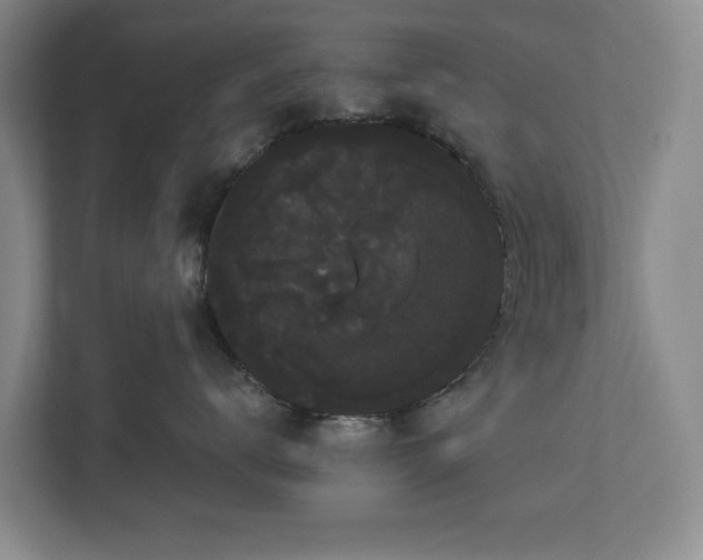 X0000113060672200909041039
