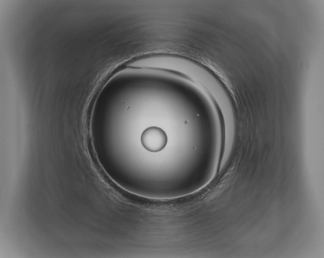 X0000113060673200909041038