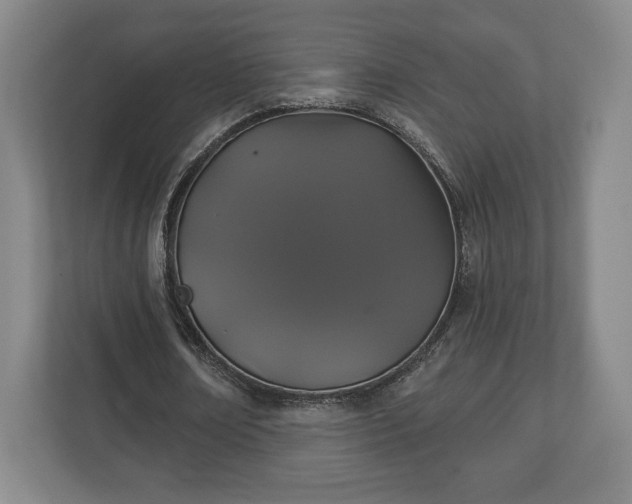 X0000113060674200909041038