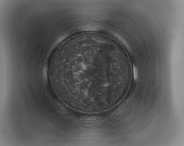 X0000113060675200909041038