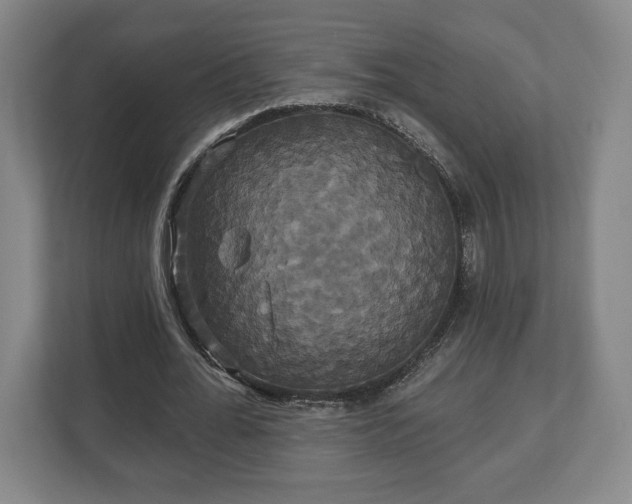 X0000113060676200909041038