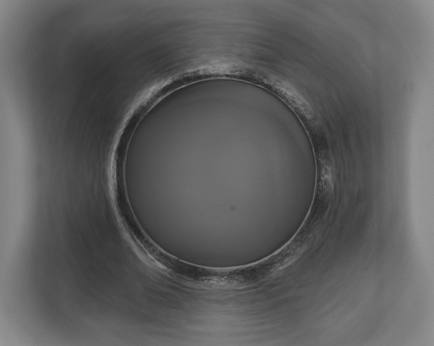 X0000113060678200909041038