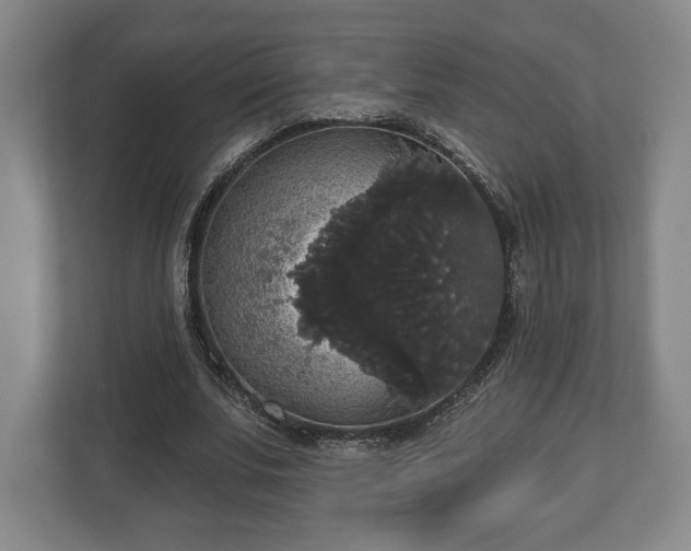 X0000113060679200909041038