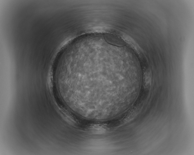 X0000113060680200909041038