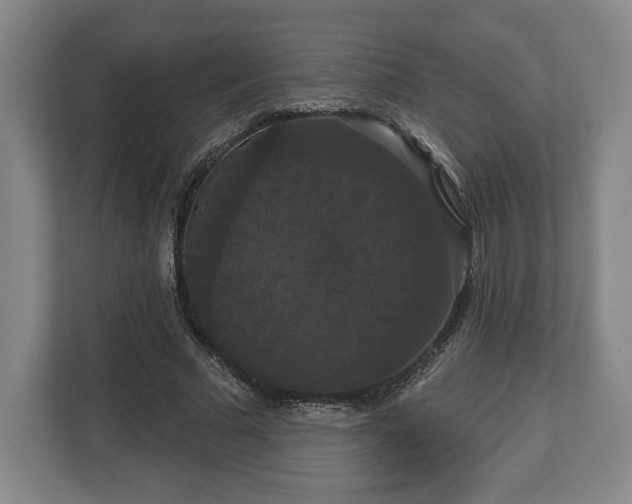 X0000113060681200909041038