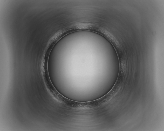 X0000113060682200909041038