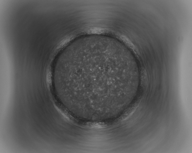 X0000113060683200909041038