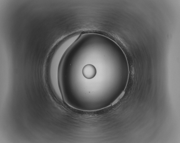 X0000113060684200909041038