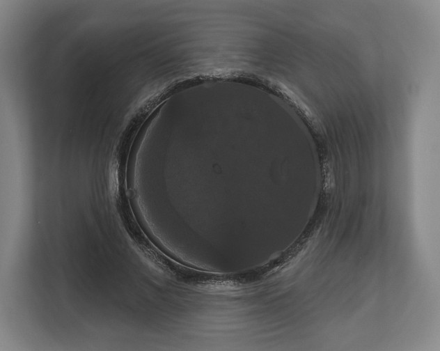 X0000113060685200909041038