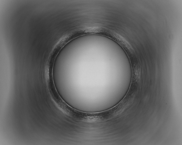 X0000113060686200909041038