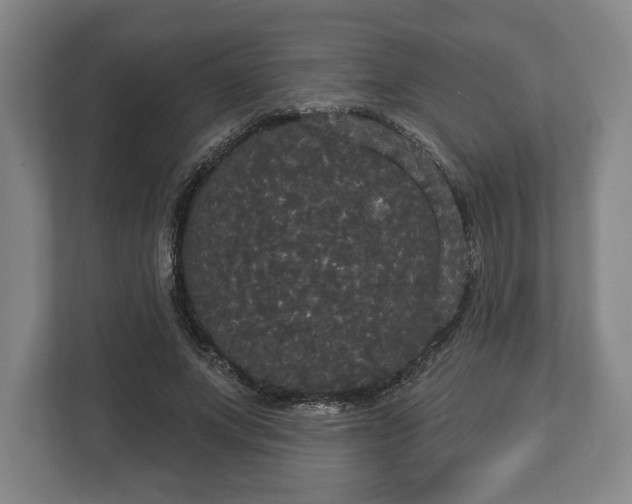 X0000113060687200909041038