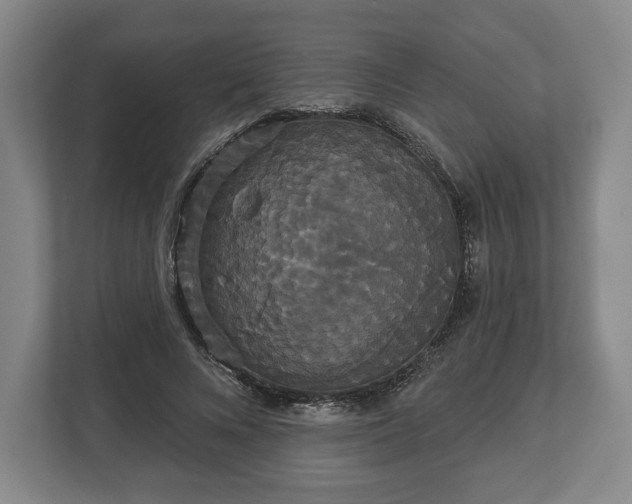 X0000113060688200909041038