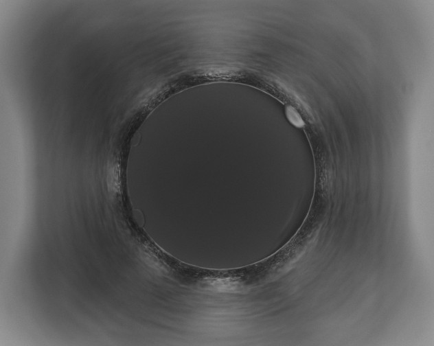 X0000113060689200909041038