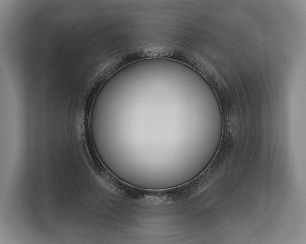 X0000113060690200909041038