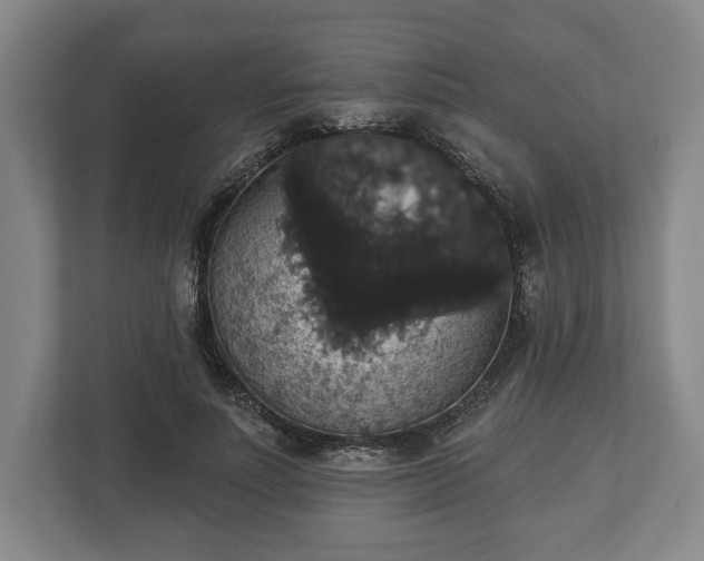 X0000113060691200909041038