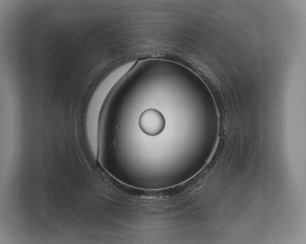 X0000113060693200909041038