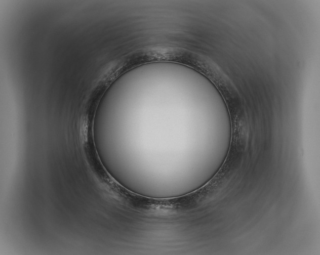 X0000113060694200909041038