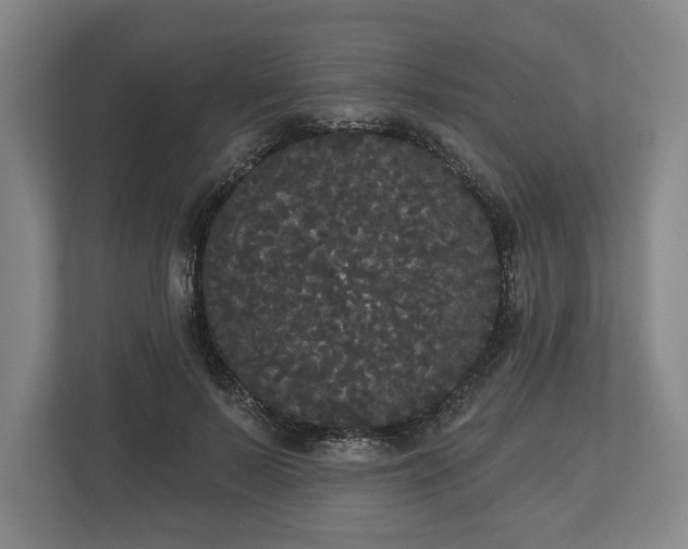 X0000113060695200909041038