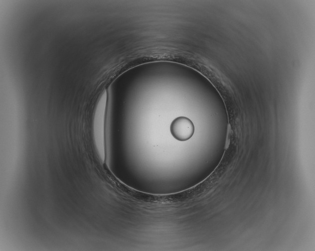X0000113060696200909041038