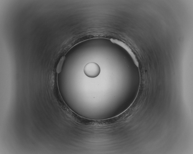 X0000113060697200909041038