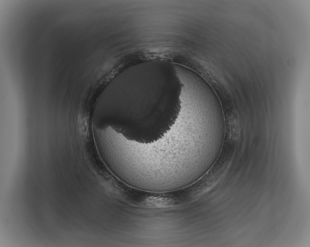 X0000113060699200909041038