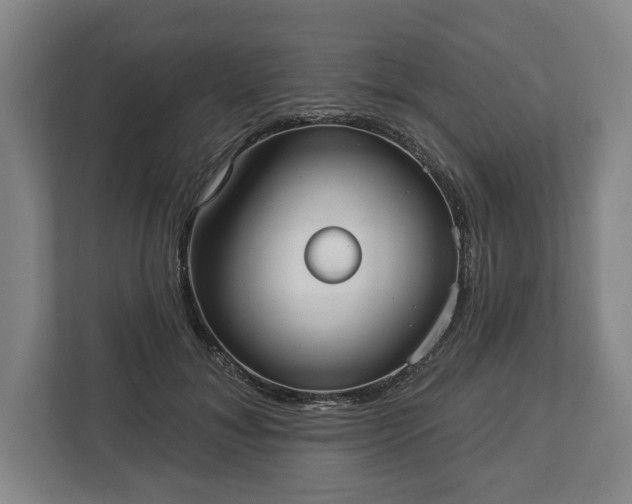 X0000113060700200909041038